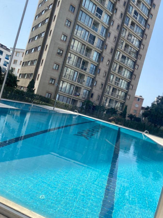 Steven Orion Park Daire *
