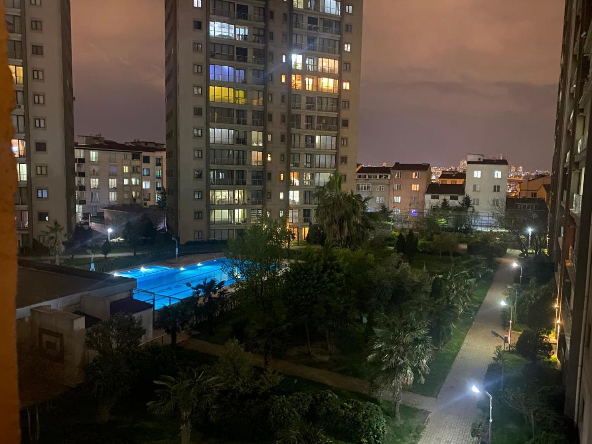 Steven Orion Park Daire *